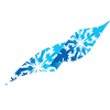5N