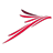 RZ