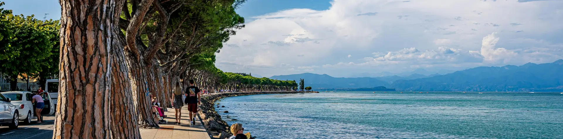 Desenzano – Gardos "Palanga"