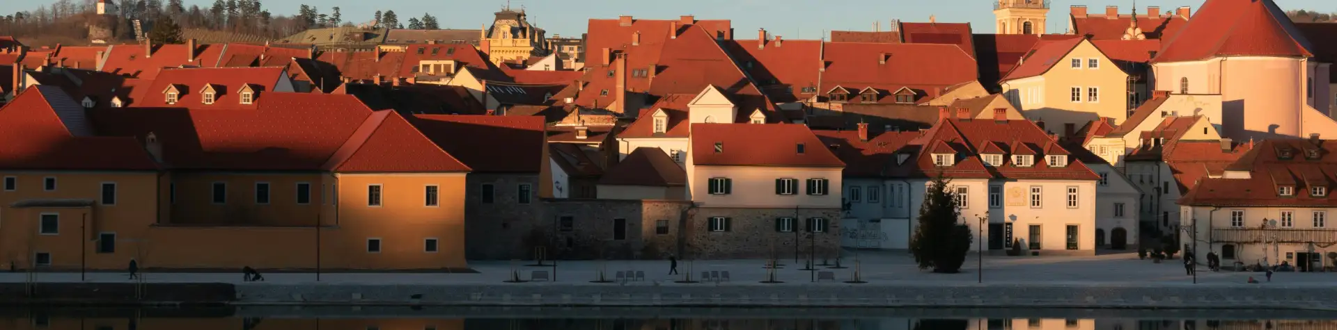 Mariboras – ten kur auga seniausias pasaulio vynmedis