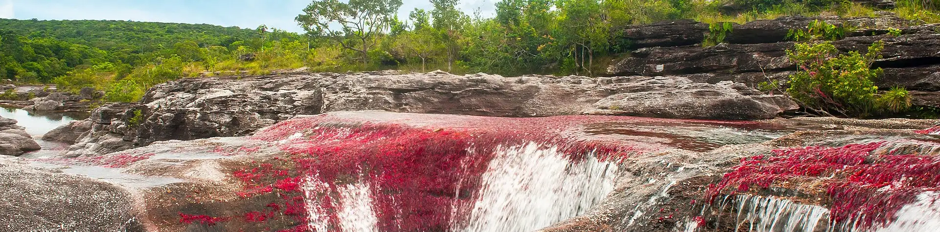 Cano Cristales: penkių spalvų upė Kolumbijoje