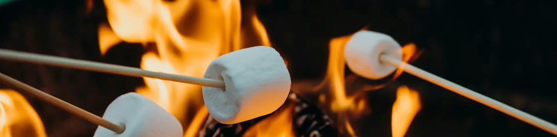 Kaip pasiruošti savaitgalio žygiui ir stovyklavimui