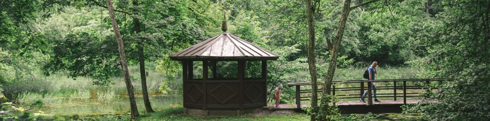 Gamtos kampeliai Vilniuje