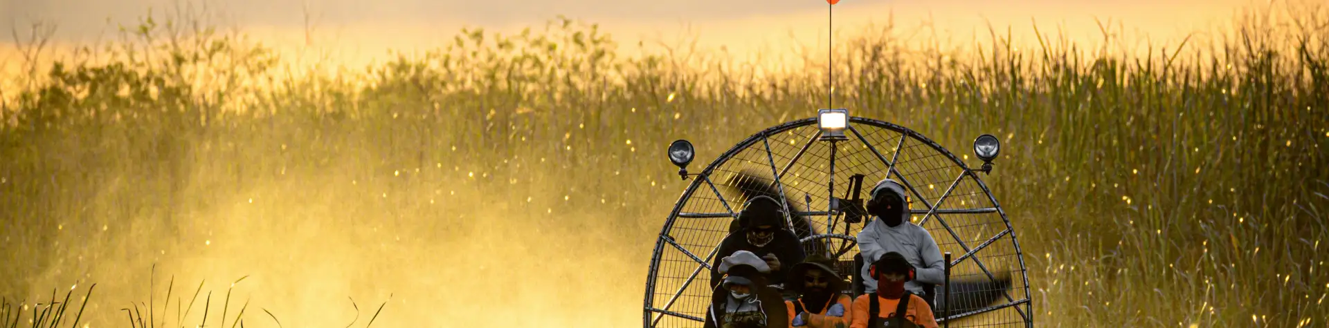 Everglades: „Žolės upė“ netoli Majamio