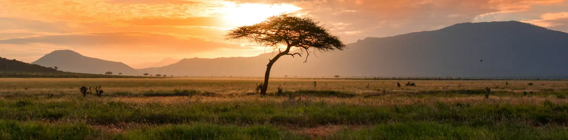 Pusmetis Afrikoje (4). „Nuturistinta“ Kenija, Mozambiko bekelės ir vergų sostinė Zanzibaras