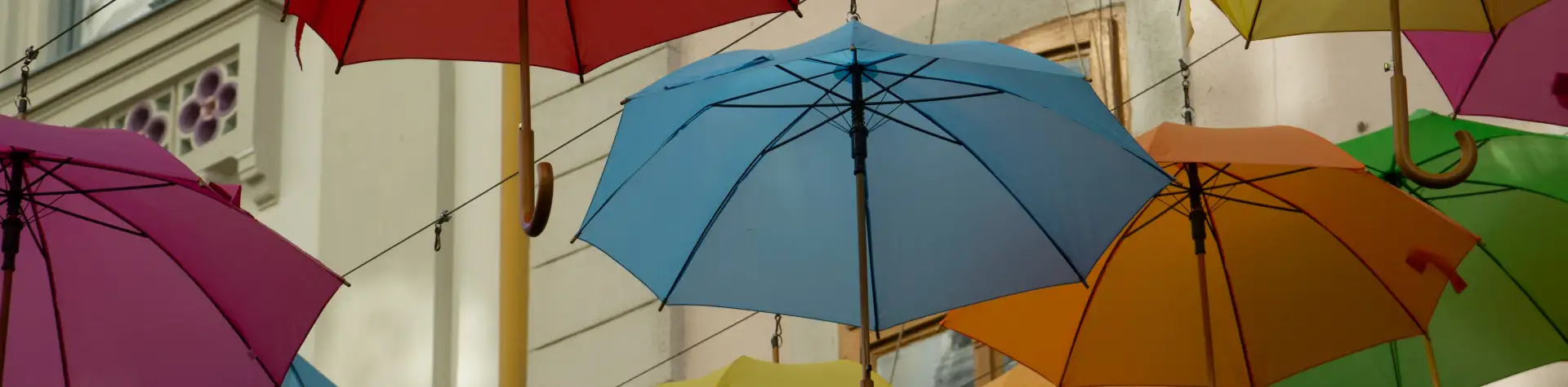 Foto konkursas „Spalvotas pasaulis“. Laimėk fotoknygą!
