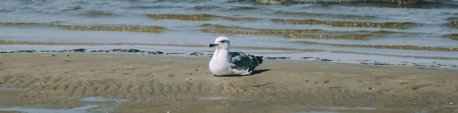 TOP 10: lankytinos vietos Jūrmaloje