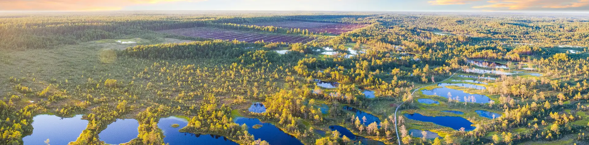 Savaitgalis Estijoje: ką aplankyti?