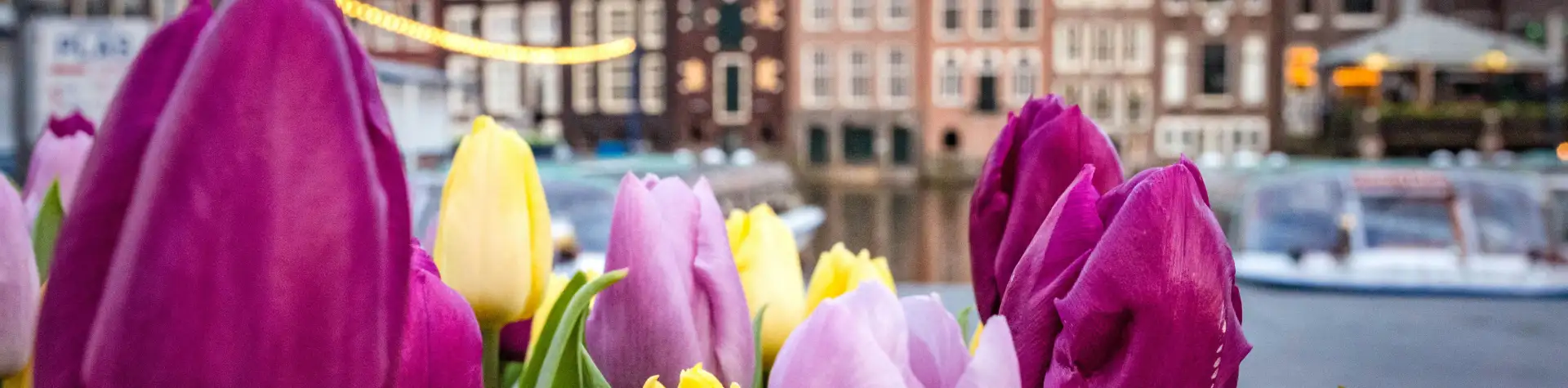 Ką aplankyti netoli Amsterdamo